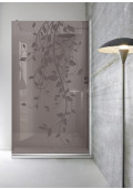 PARAVAN-DUS-WALK-IN-DANCE-B8-INC