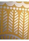 Vitrina sablata, Phi-Phi contur galben